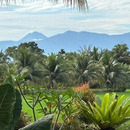 Sumatra Expedition Lodge 부킷 라왕 외부 사진