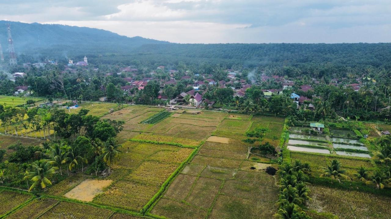 Sumatra Expedition Lodge 부킷 라왕 외부 사진