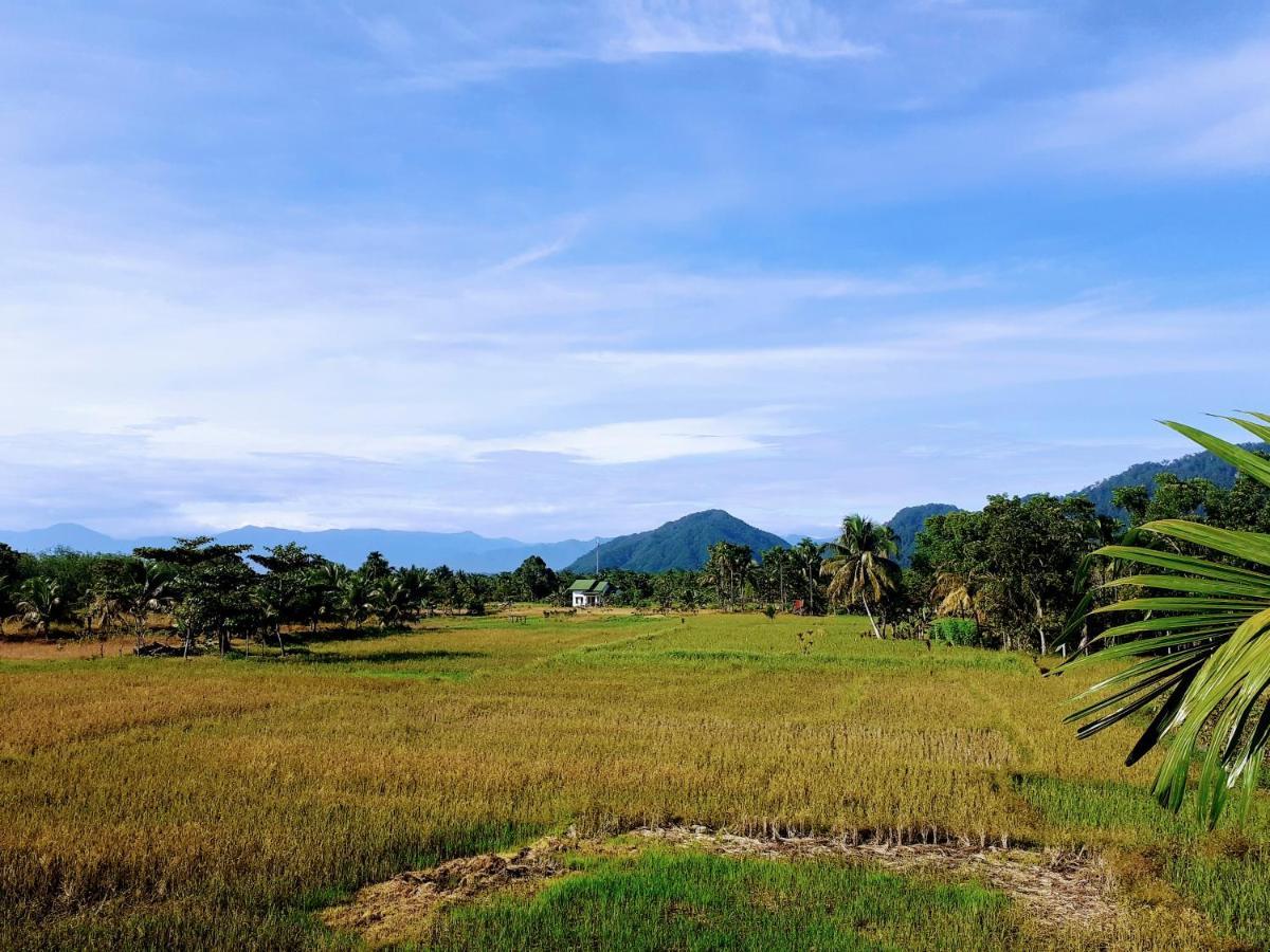 Sumatra Expedition Lodge 부킷 라왕 외부 사진