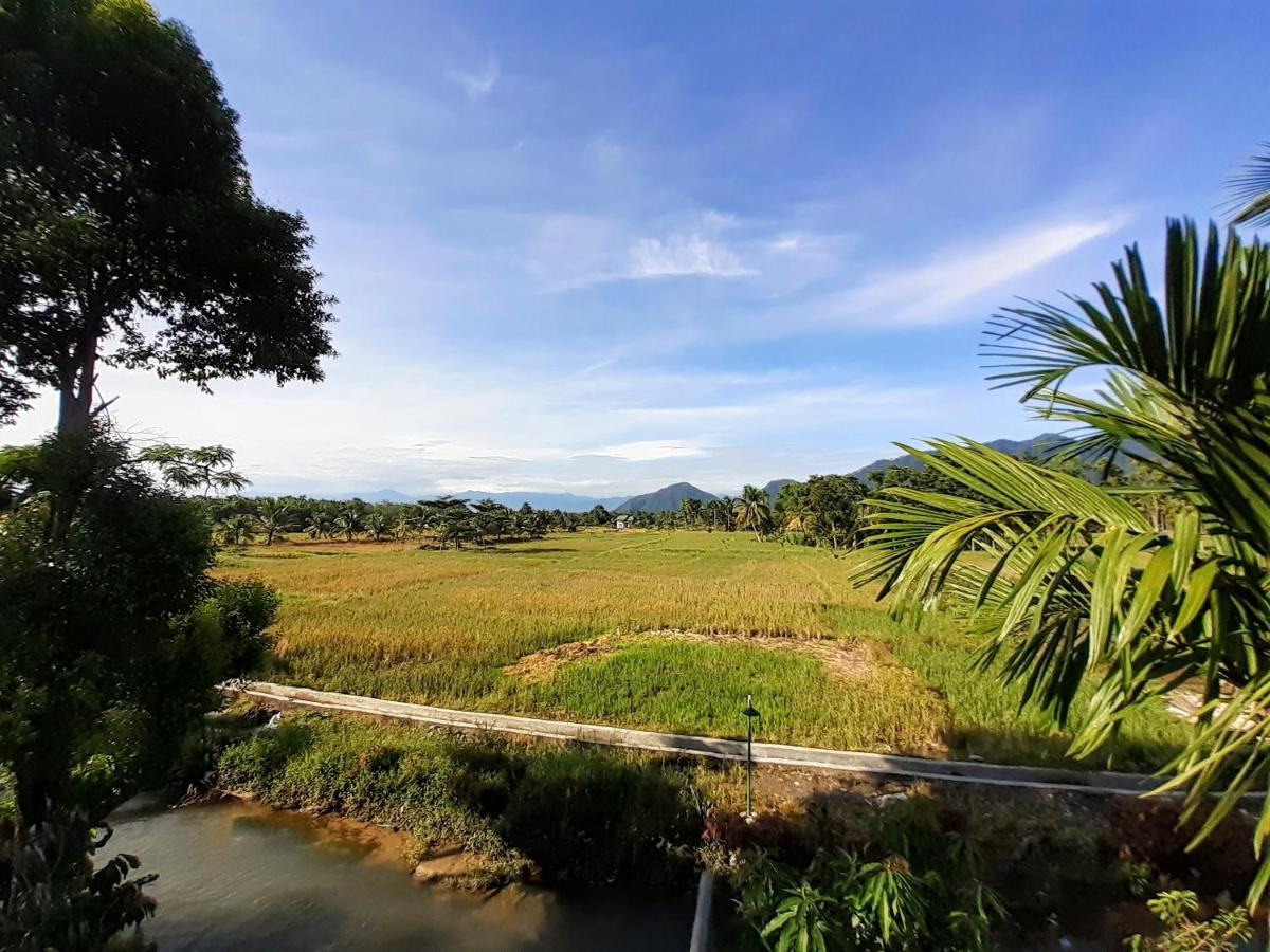 Sumatra Expedition Lodge 부킷 라왕 외부 사진