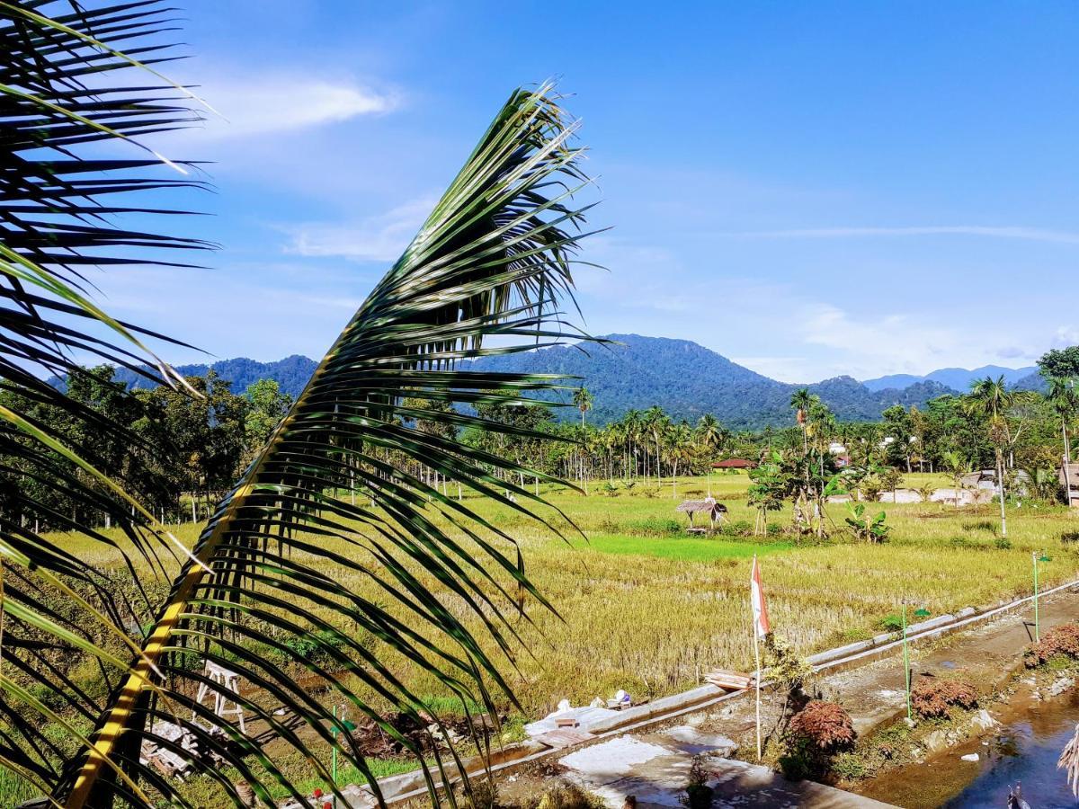 Sumatra Expedition Lodge 부킷 라왕 외부 사진
