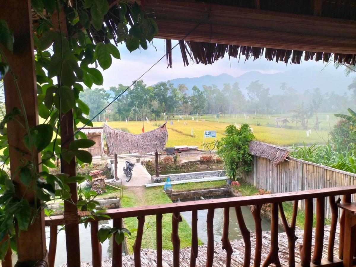 Sumatra Expedition Lodge 부킷 라왕 외부 사진