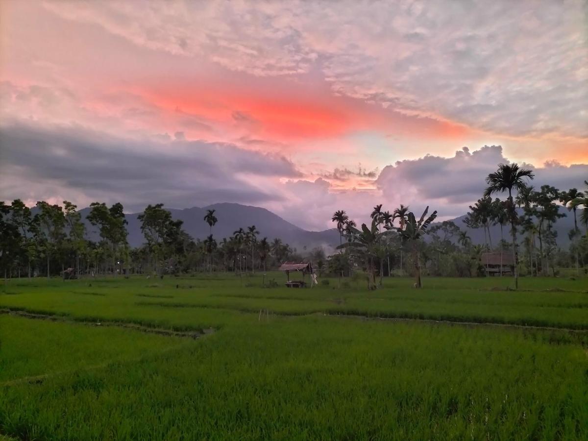 Sumatra Expedition Lodge 부킷 라왕 외부 사진