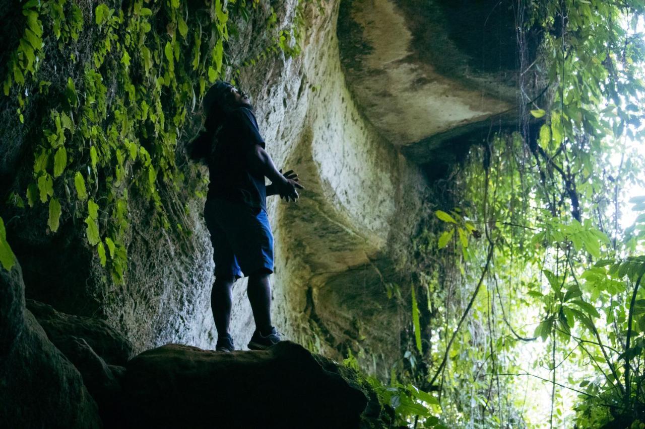 Sumatra Expedition Lodge 부킷 라왕 외부 사진