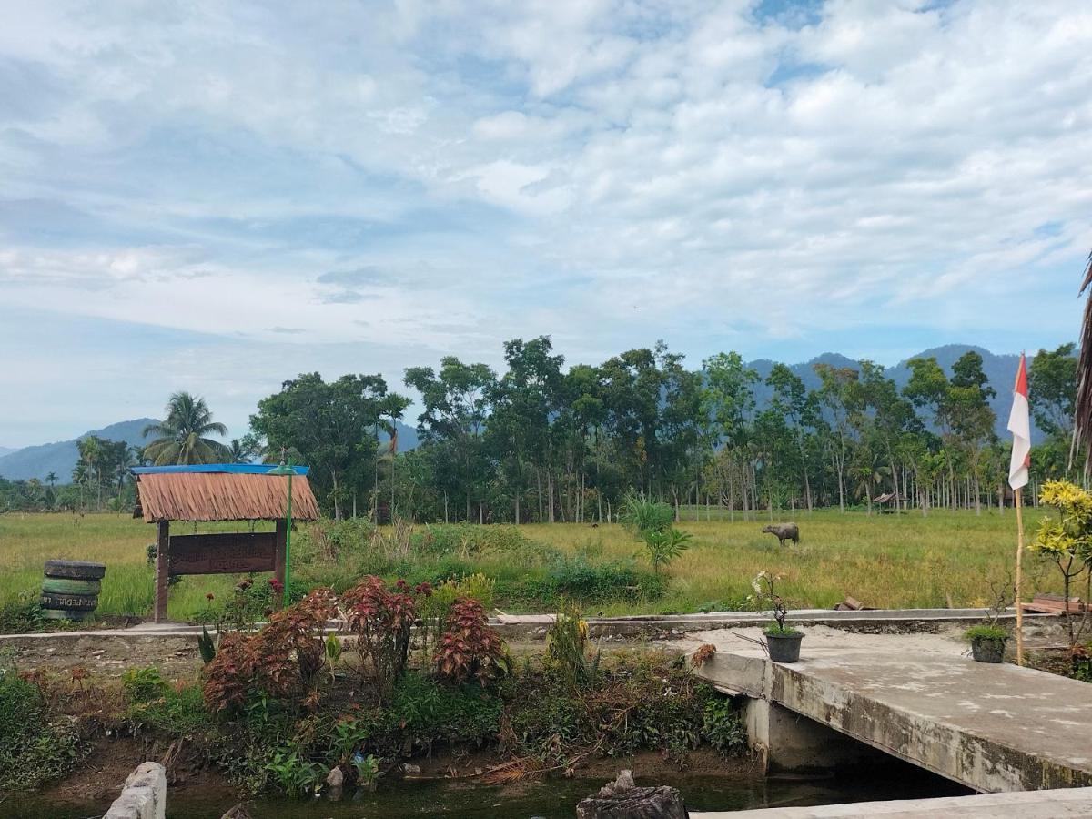 Sumatra Expedition Lodge 부킷 라왕 외부 사진