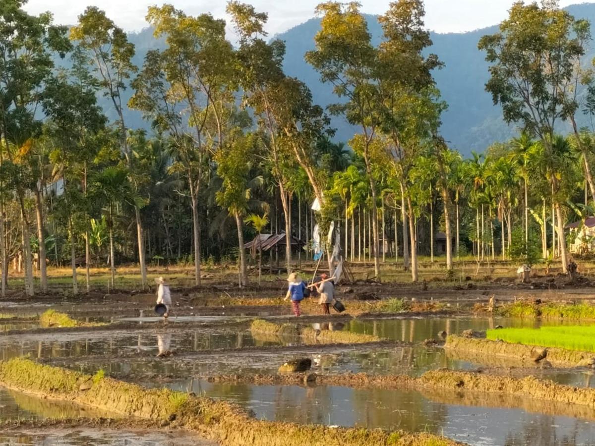 Sumatra Expedition Lodge 부킷 라왕 외부 사진
