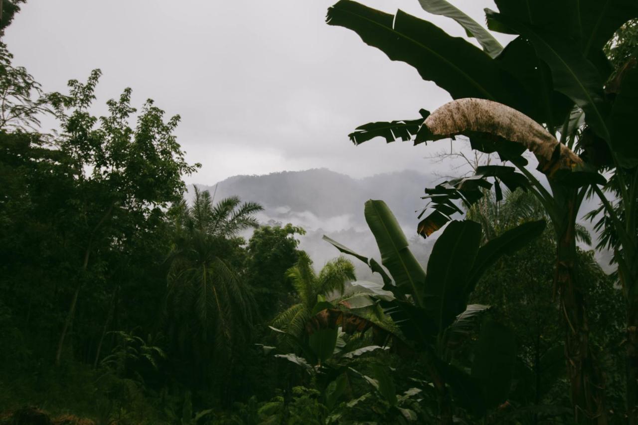 Sumatra Expedition Lodge 부킷 라왕 외부 사진