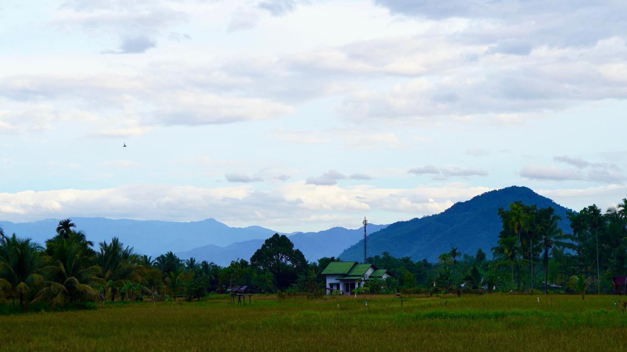 Sumatra Expedition Lodge 부킷 라왕 외부 사진