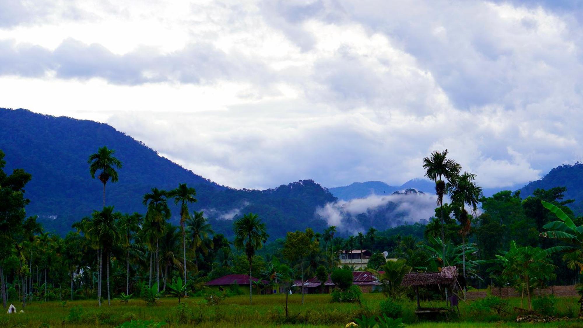 Sumatra Expedition Lodge 부킷 라왕 외부 사진