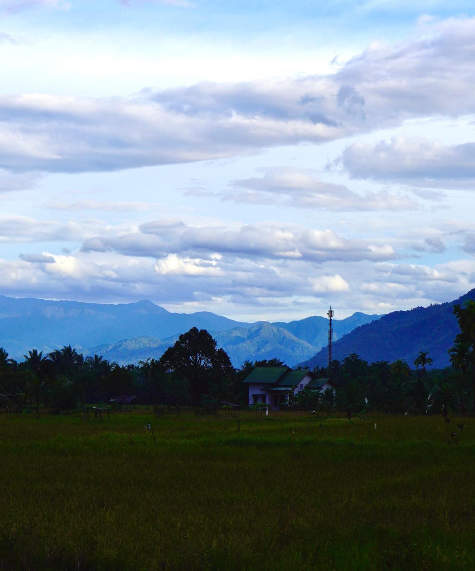 Sumatra Expedition Lodge 부킷 라왕 외부 사진