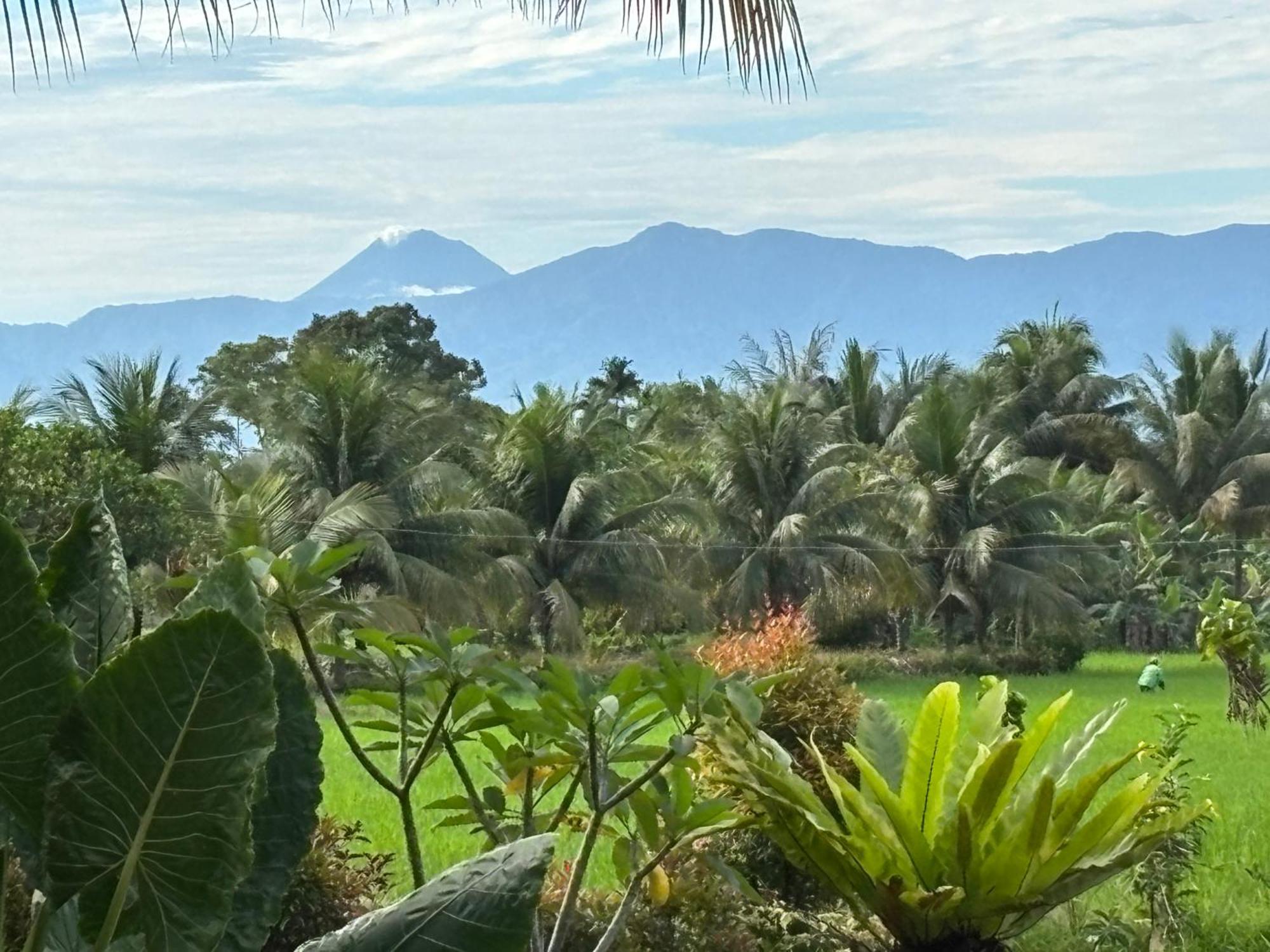 Sumatra Expedition Lodge 부킷 라왕 외부 사진