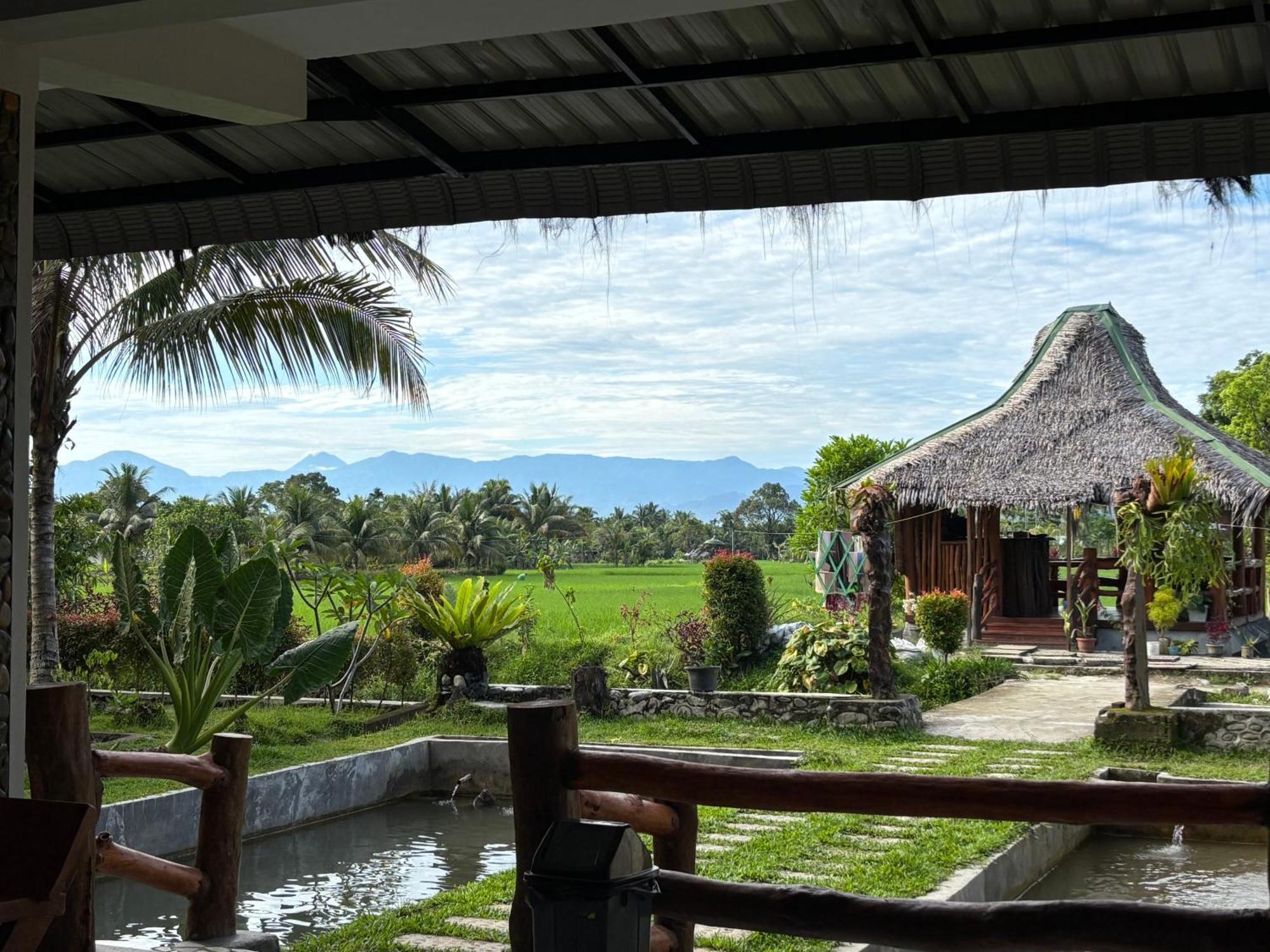 Sumatra Expedition Lodge 부킷 라왕 외부 사진