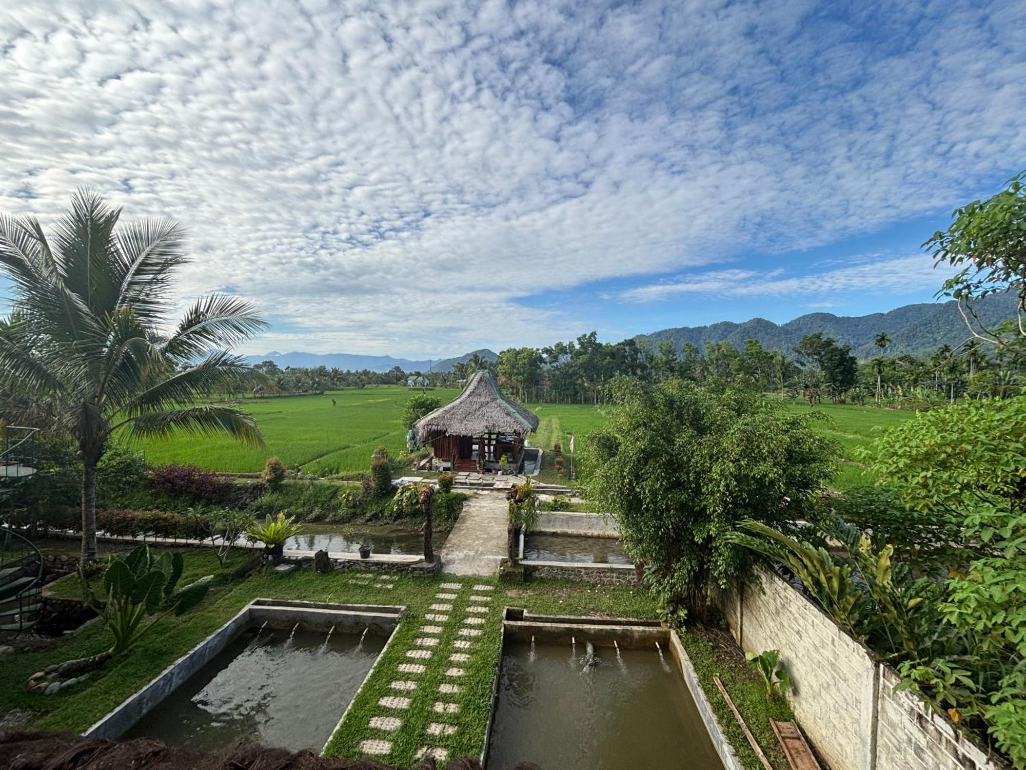 Sumatra Expedition Lodge 부킷 라왕 외부 사진
